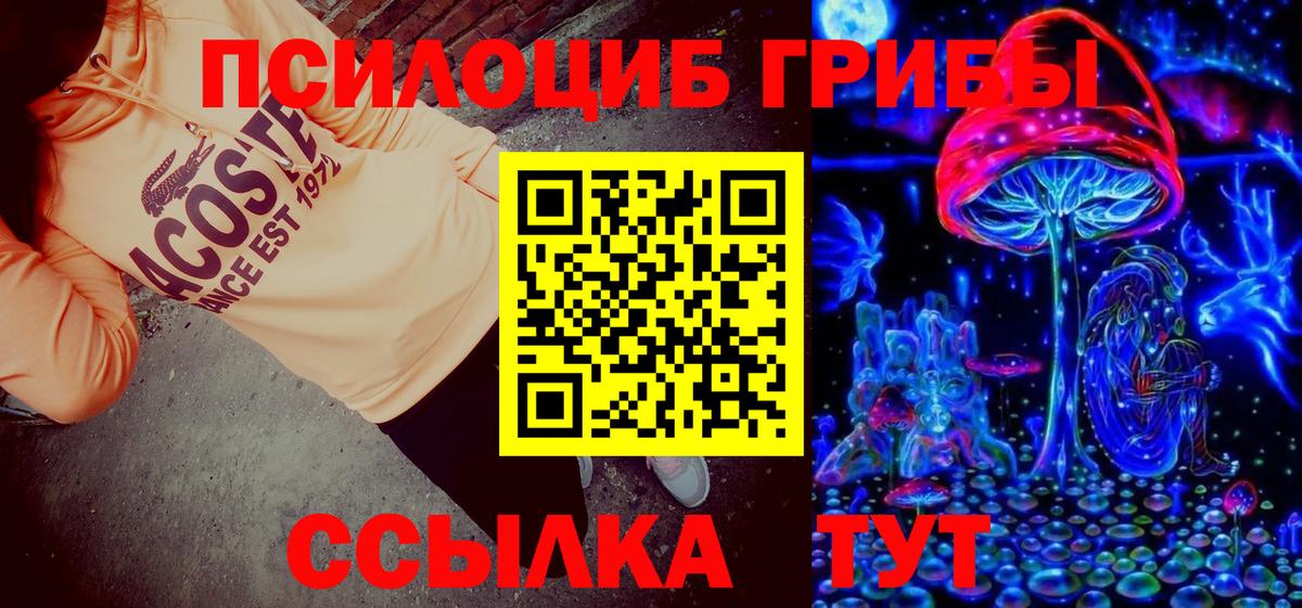 Галлюциногенные грибы Psilocybine cubensis Урай