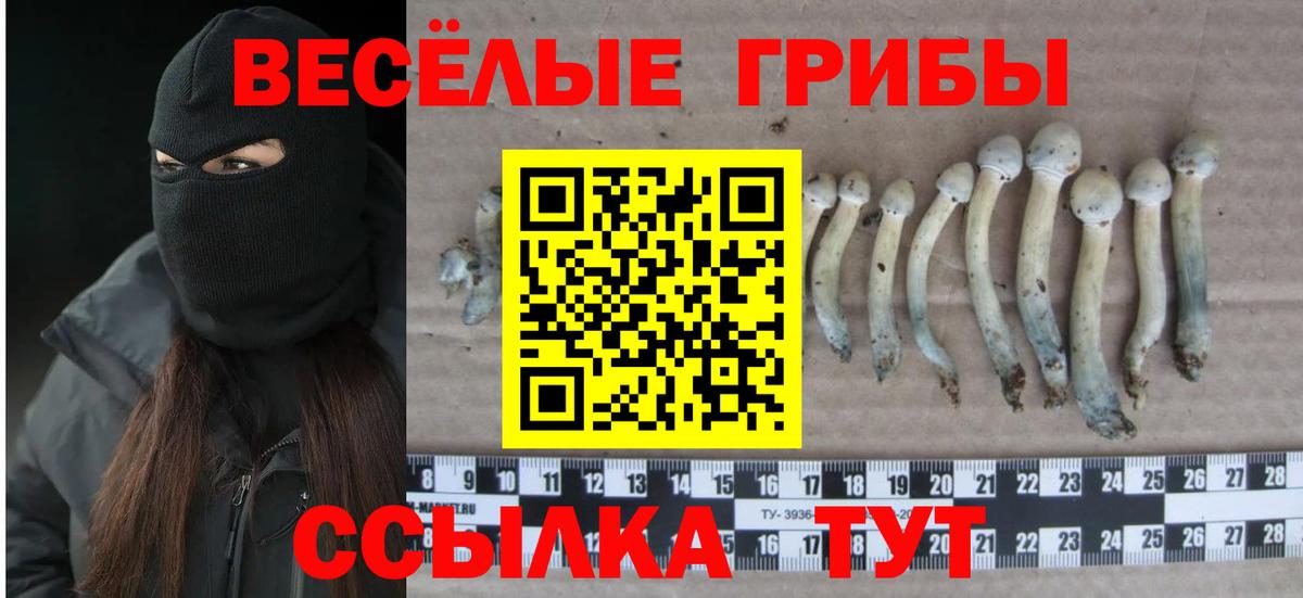 Урай  Галлюциногенные грибы MAGIC MUSHROOMS  Вход с VPN 